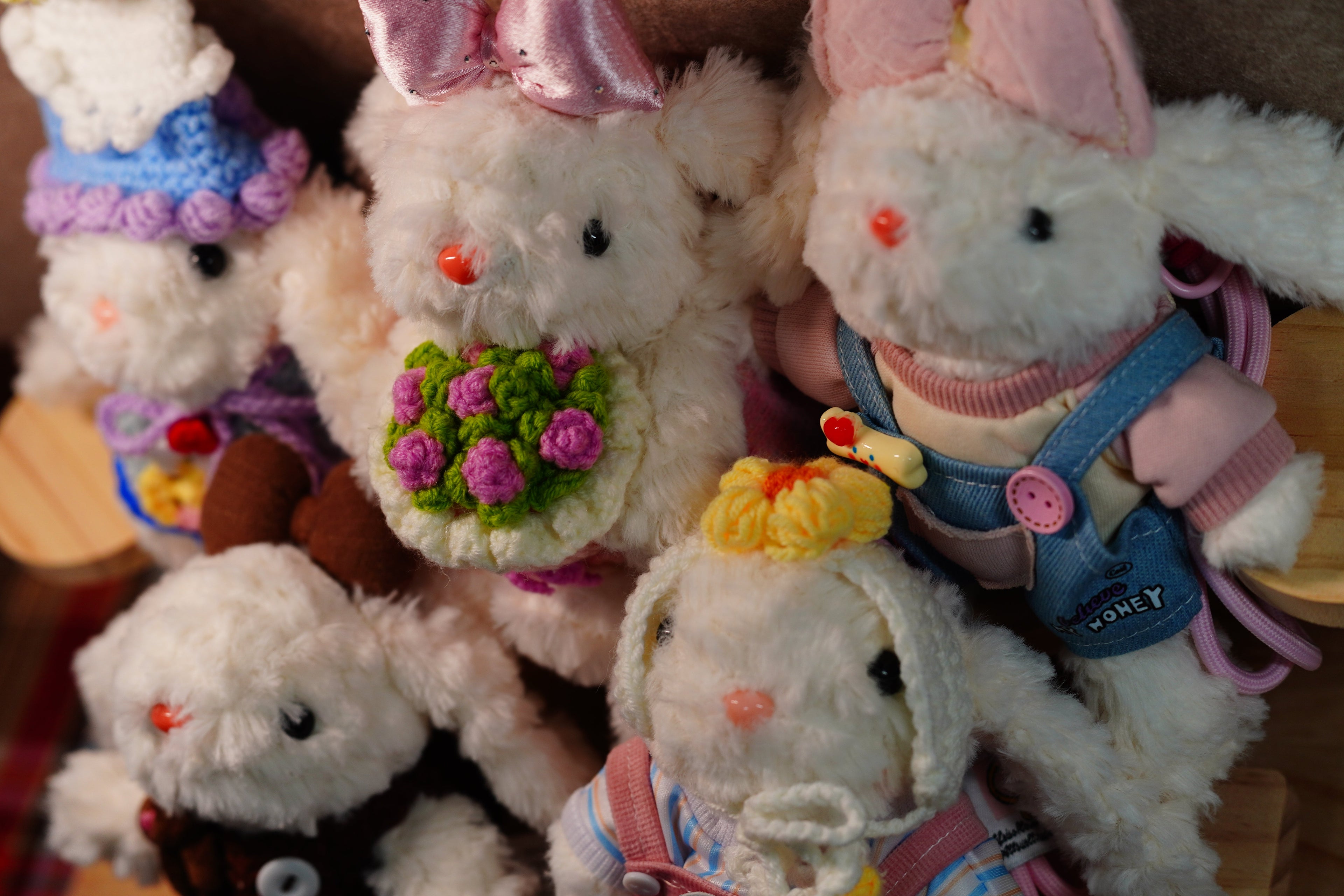 Lop-eared rabbit