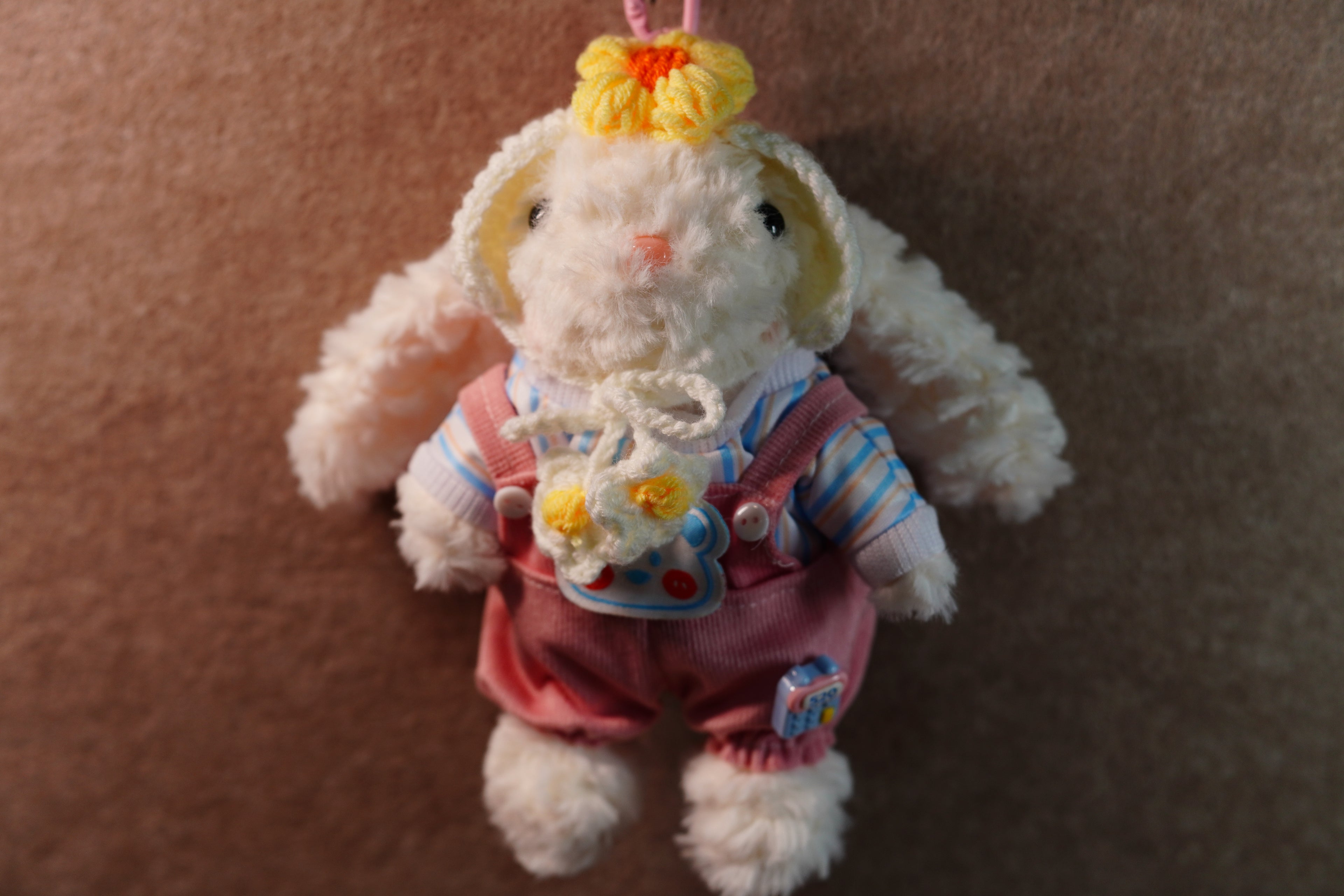 Recordable kindergarten lop-eared rabbit